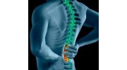 Apex Chiropractic - Albertville